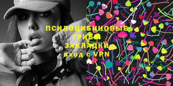 крисы Медвежьегорск
