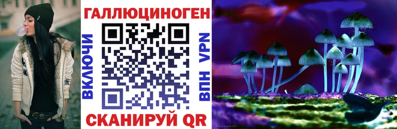 Галлюциногенные грибы прущие грибы  где купить наркоту  Терек 